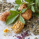 Pure organic natural herbs and botanicals used in Seraphyra supplements